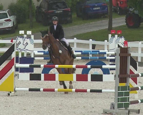 Reitturnier Gut Bohmerhof-Wackersberg/Obb. 2024