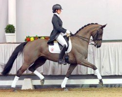 horse Bezaubernde Jeannie 4 (Austrian Warmblood, 2011, from Boston)