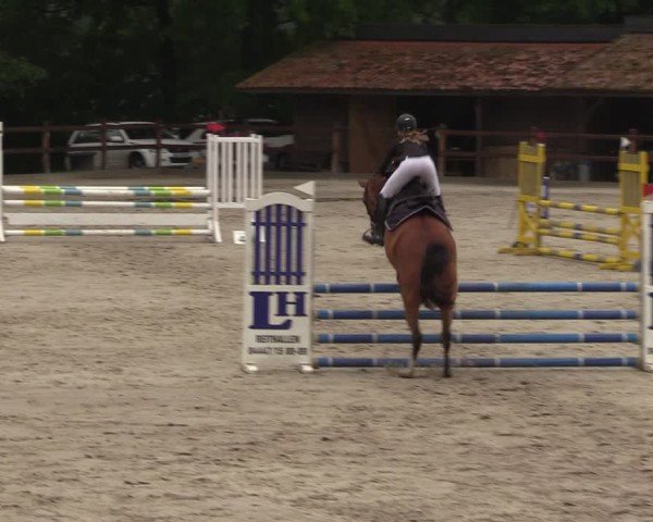 Reitturnier Alvern 2024