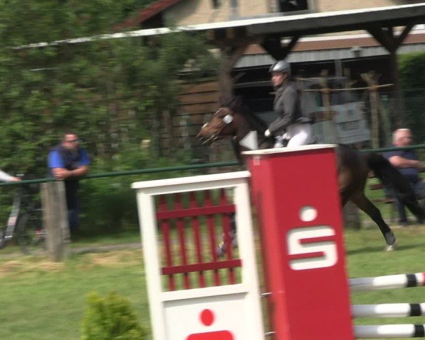 Reitturnier Buckow bei Beeskow (LOS) 2024