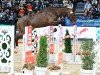 jumper Casscolle Ask E (German Sport Horse, 2020, from Casskeni II)