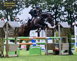 jumper Little Lornie (Hanoverian, 2017, from Flic Flac)