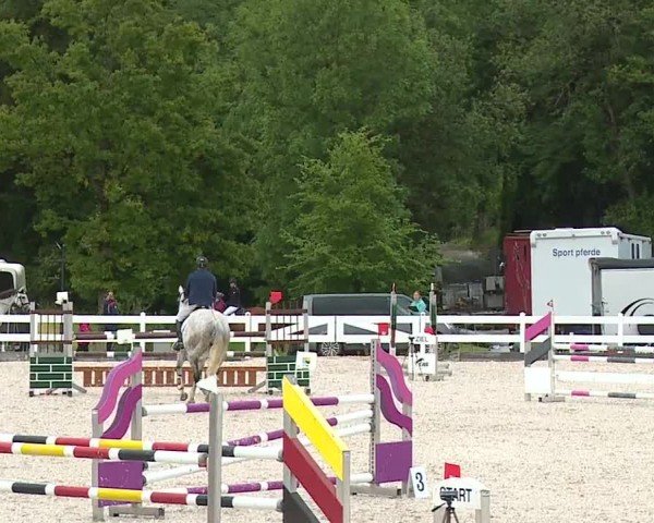 Reitturnier Gut Bohmerhof-Wackersberg/Obb. 2024