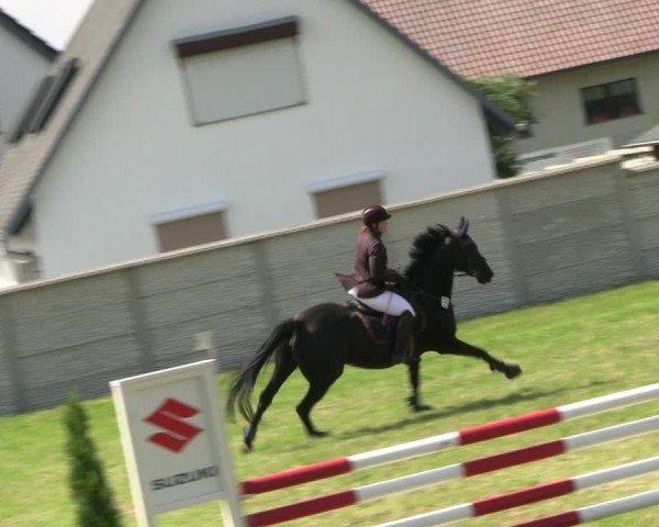 Reitturnier Buckow bei Beeskow (LOS) 2024