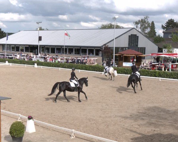 Reitturnier Bornheim-Widdig 2024