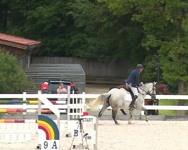 Reitturnier Gut Bohmerhof-Wackersberg/Obb. 2024