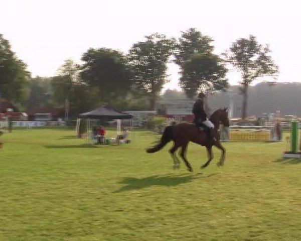 Westfalen-Woche 2012 Münster Handorf