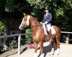 dressage horse Bela Bartok 3 (Hanoverian, 2009, from Ballettmeister)