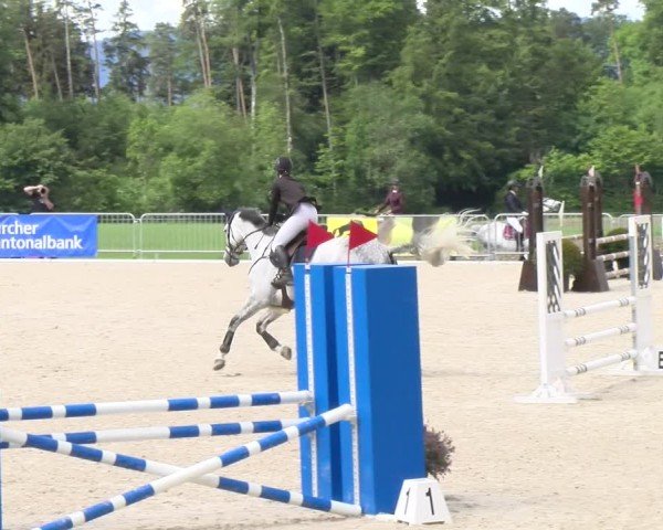 Reitturnier Meilen 2024
