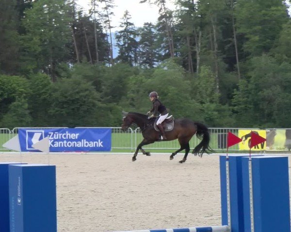 Reitturnier Meilen 2024