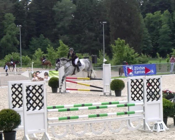 Reitturnier Meilen 2024