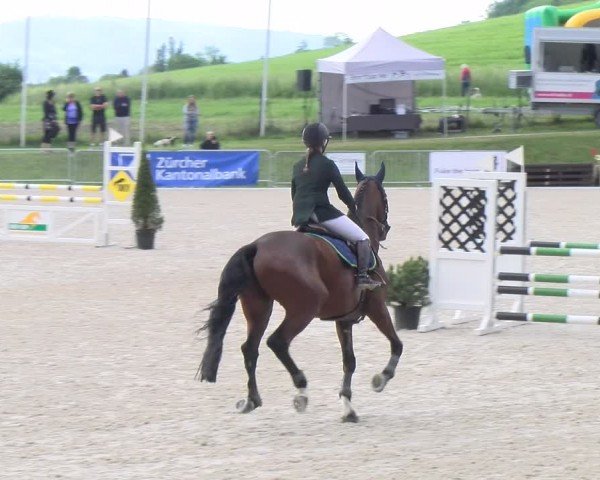 Reitturnier Meilen 2024