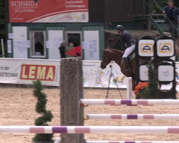 Reitturnier Ranshofen - Braunau am Inn 2024