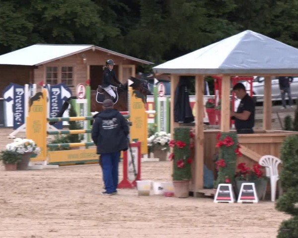 Reitturnier Ranshofen - Braunau am Inn 2024