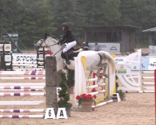 Reitturnier Ranshofen - Braunau am Inn 2024