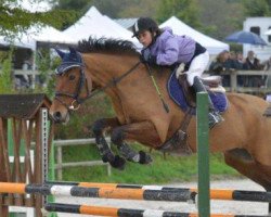 broodmare Niebes de la Buqueuse (French Pony, 2001, from Thunder du Blin)