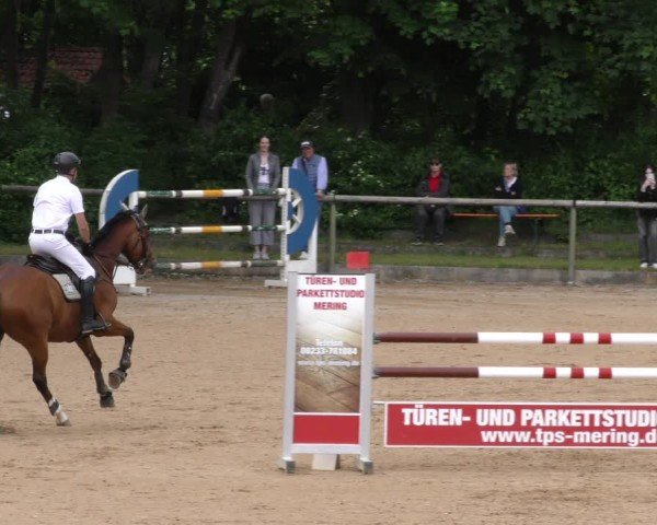 Reitturnier Königsbrunn-Ulrichshof/Schw. 2024