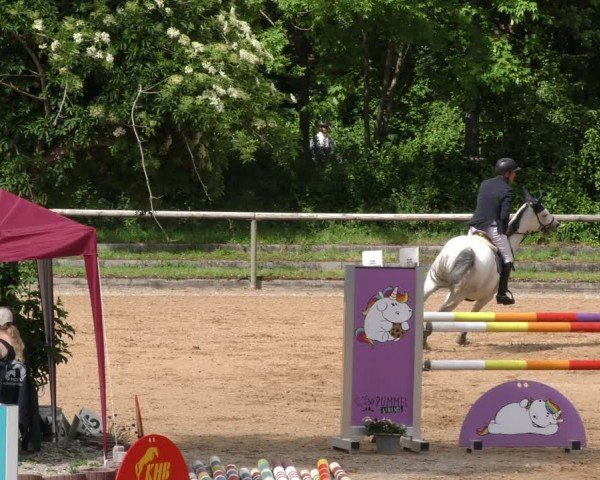 Reitturnier Königsbrunn-Ulrichshof/Schw. 2024