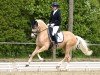 dressage horse Candice D'Or (German Riding Pony, 2018, from Kastanienhof Cockney Cracker)