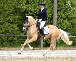 dressage horse Candice D'Or (German Riding Pony, 2018, from Kastanienhof Cockney Cracker)