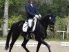 dressage horse Einfach Erich (Hanoverian, 2018, from Emilio)