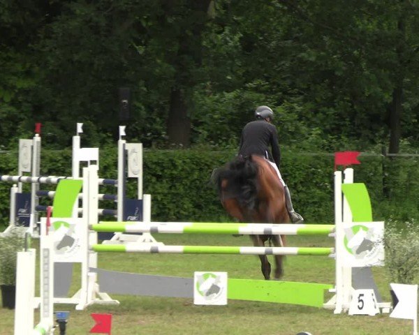 Reitturnier Jülich 2024