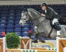 jumper Clever Boy HC Z (Zangersheide riding horse, 2010, from Clintissimo 197 FIN)