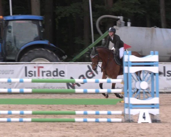 Reitturnier Ranshofen - Braunau am Inn 2024