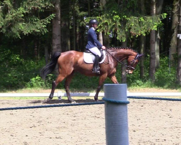 Reitturnier Kellinghusen  2024