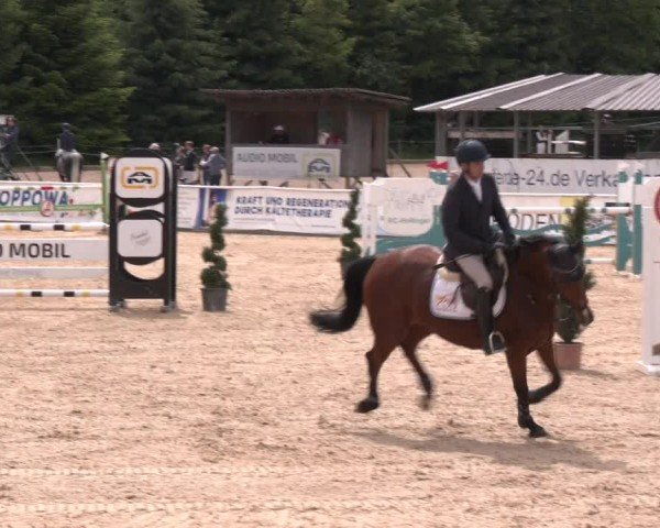 Reitturnier Ranshofen - Braunau am Inn 2024