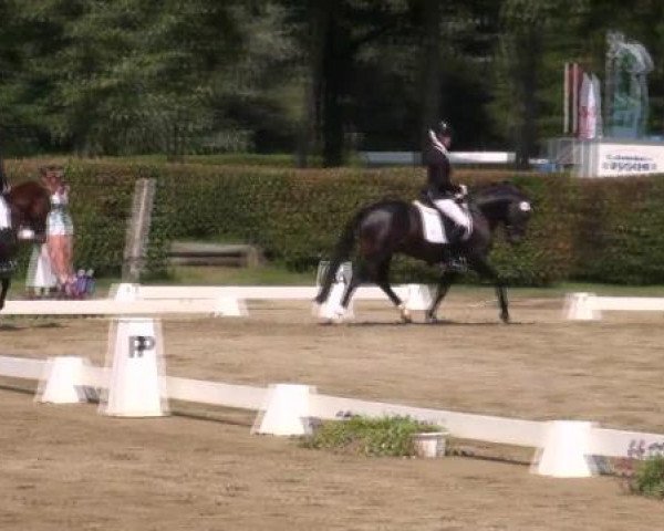 Westfalen-Woche 2012 Münster Handorf
