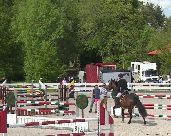 Reitturnier Gut Bohmerhof-Wackersberg/Obb. 2024