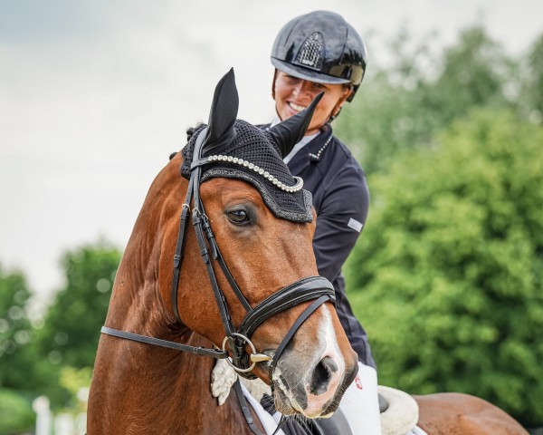 dressage horse Elastic 13 (Hanoverian, 2020, from Escamillo)