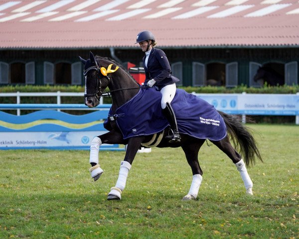 dressage horse Floris Black (Hanoverian, 2017, from Floris Prince)