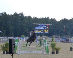 jumper Balacia du Rouet (Oldenburg show jumper, 2015, from Balou du Rouet)