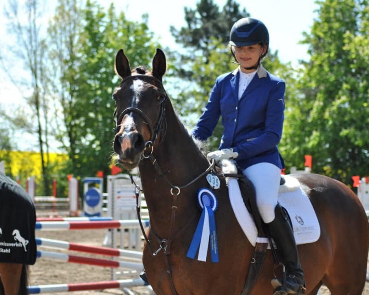 jumper Casalandos (Holsteiner, 2012, from Casall Ask)
