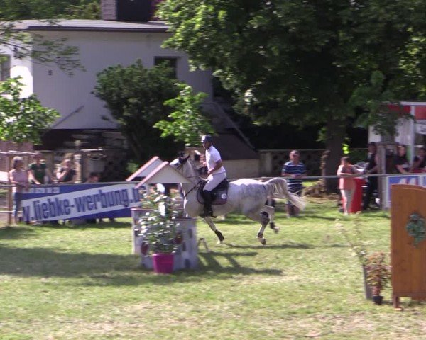 Reitturnier Königsborn 2024