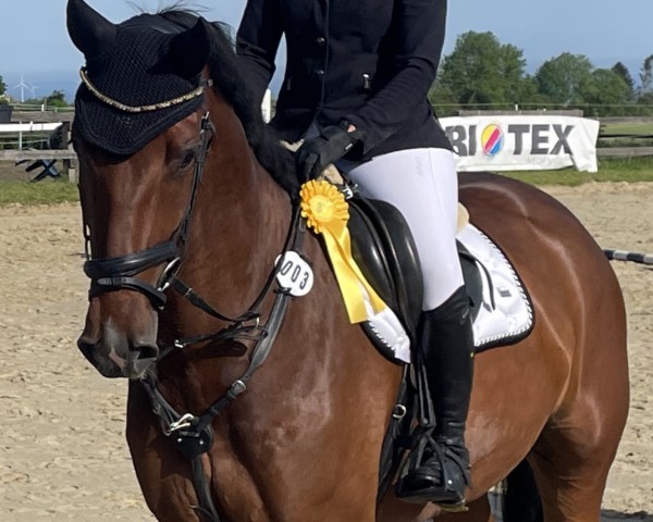 horse Adrenalin S (Westphalian, 2019, from Arpeggio)