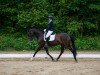 dressage horse Secret's Romantic Dream (Oldenburg, 2019, from Secret)