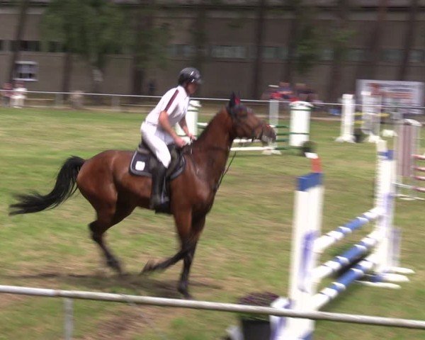 Reitturnier Kakerbeck 2024