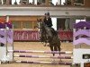 jumper de Comtesse 2 (German Riding Pony, 2008, from Dublin N)