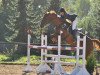 horse Fedin (German Sport Horse, 2006, from Fiorenzo)