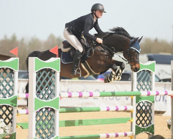 jumper Damaris 30 (Hanoverian, 2010, from Diarado)