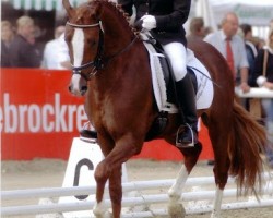 stallion Pikachu (German Riding Pony, 2003, from Power Prie Boy)