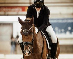 dressage horse Don Olymbrio's Daisy Deluxe (Hanoverian, 2018, from Don Olymbrio)