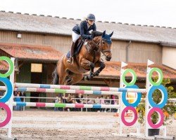 jumper Miregina (KWPN (Royal Dutch Sporthorse), 2017, from Glasgow van het Merelsnest)