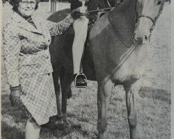 broodmare Twylands Tanya (British Riding Pony, 1970, from Solway North Wind)