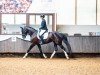 dressage horse Fünkchen Glück 2 (Westphalian, 2020, from Fidertanz)