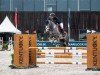 jumper True Blue 13 (German Riding Pony, 2017, from Toto)