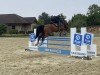 jumper Quantina B (Hanoverian, 2017, from Qualito)